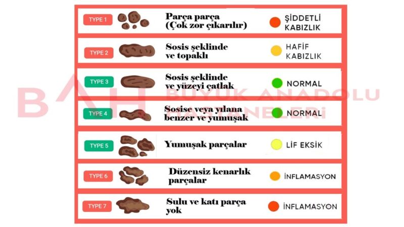 İshale İyi Gelen Kanıtlanmış Çorbalar ve Püf Noktaları [2026] - Kapak Görseli