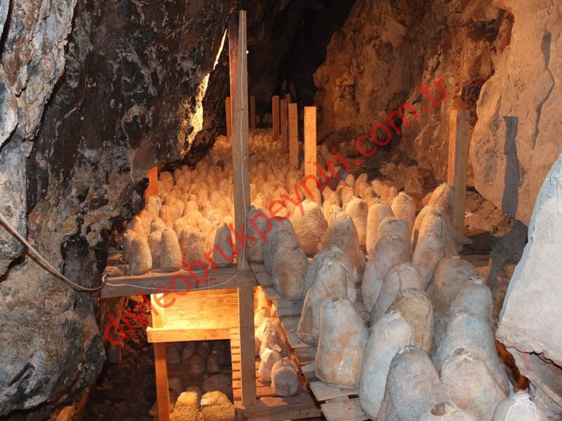 Divle Obrukları ve Doğa Dünyasının Gizemleri [2026 Uzman Rehberi] - Kapak Görseli